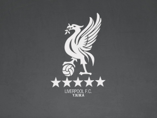 Liverpool Fc Ynwa screenshot #1 320x240