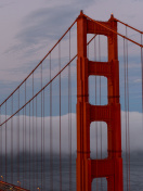 Обои Golden Gate Bridge in Fog 132x176