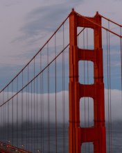 Das Golden Gate Bridge in Fog Wallpaper 176x220