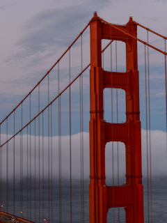 Sfondi Golden Gate Bridge in Fog 240x320