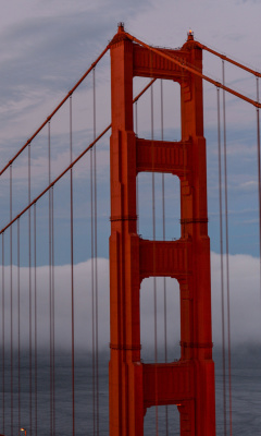 Sfondi Golden Gate Bridge in Fog 240x400