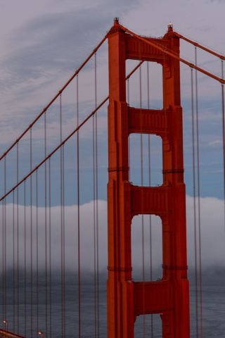 Обои Golden Gate Bridge in Fog 320x480