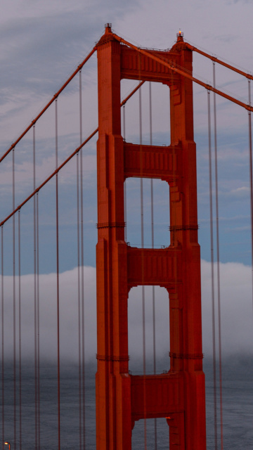 Fondo de pantalla Golden Gate Bridge in Fog 360x640