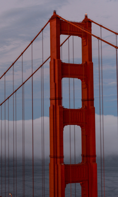 Sfondi Golden Gate Bridge in Fog 480x800