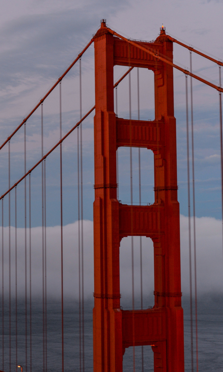Sfondi Golden Gate Bridge in Fog 768x1280