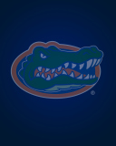 Screenshot №1 pro téma Florida Gators 128x160