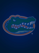 Fondo de pantalla Florida Gators 132x176
