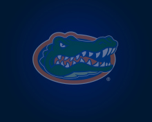 Fondo de pantalla Florida Gators 220x176