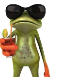 3D Frog Chilling Out wallpaper 128x160
