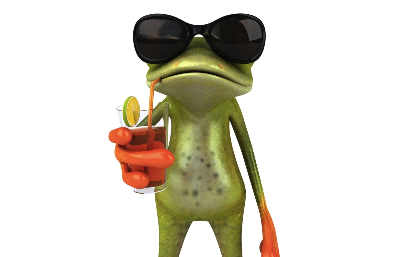 Das 3D Frog Chilling Out Wallpaper 1680x1050