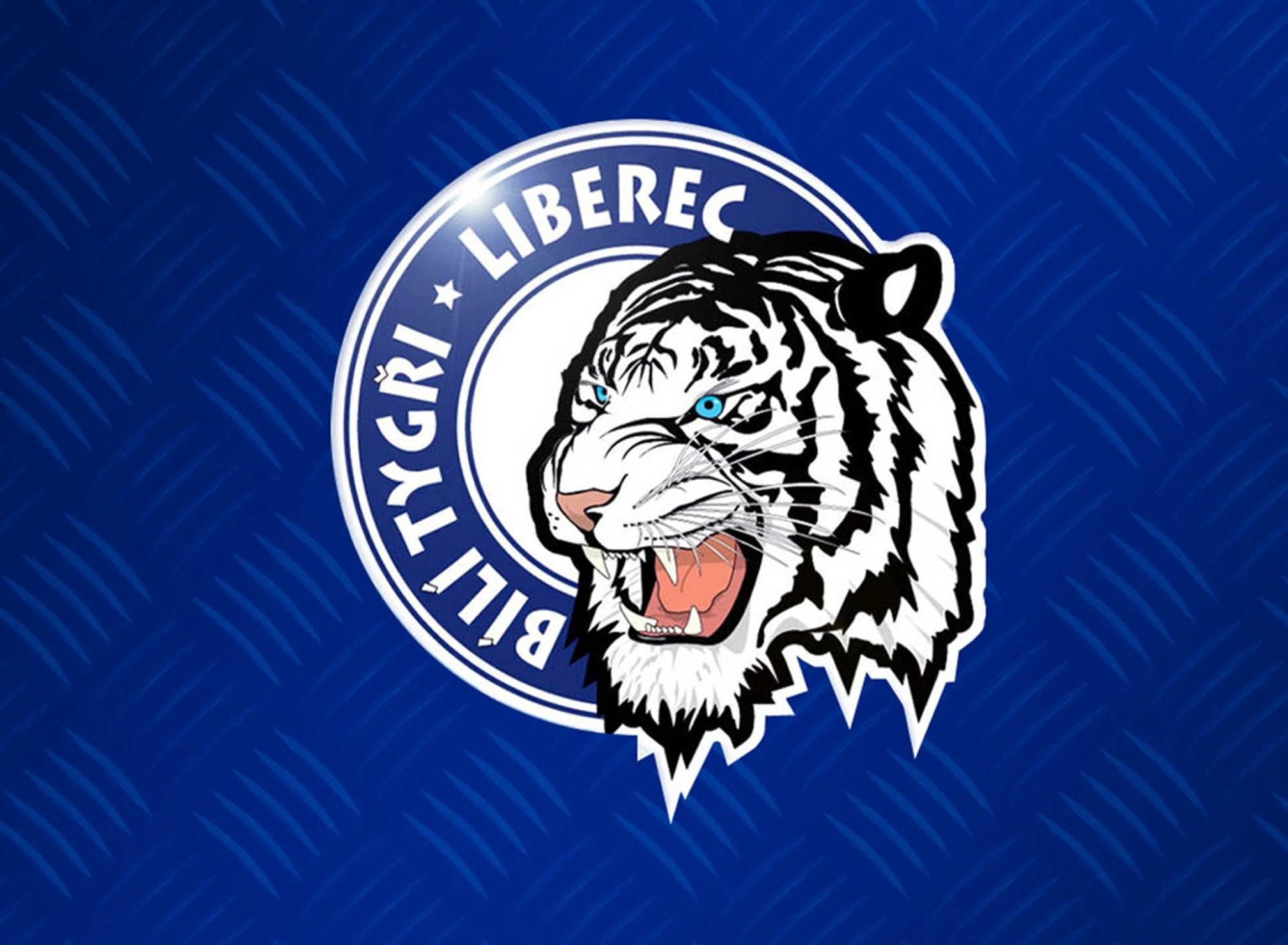 Обои HC Bílí Tygři Liberec 1920x1408