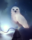 Sfondi White Owl Painting 128x160