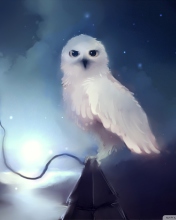 Обои White Owl Painting 176x220
