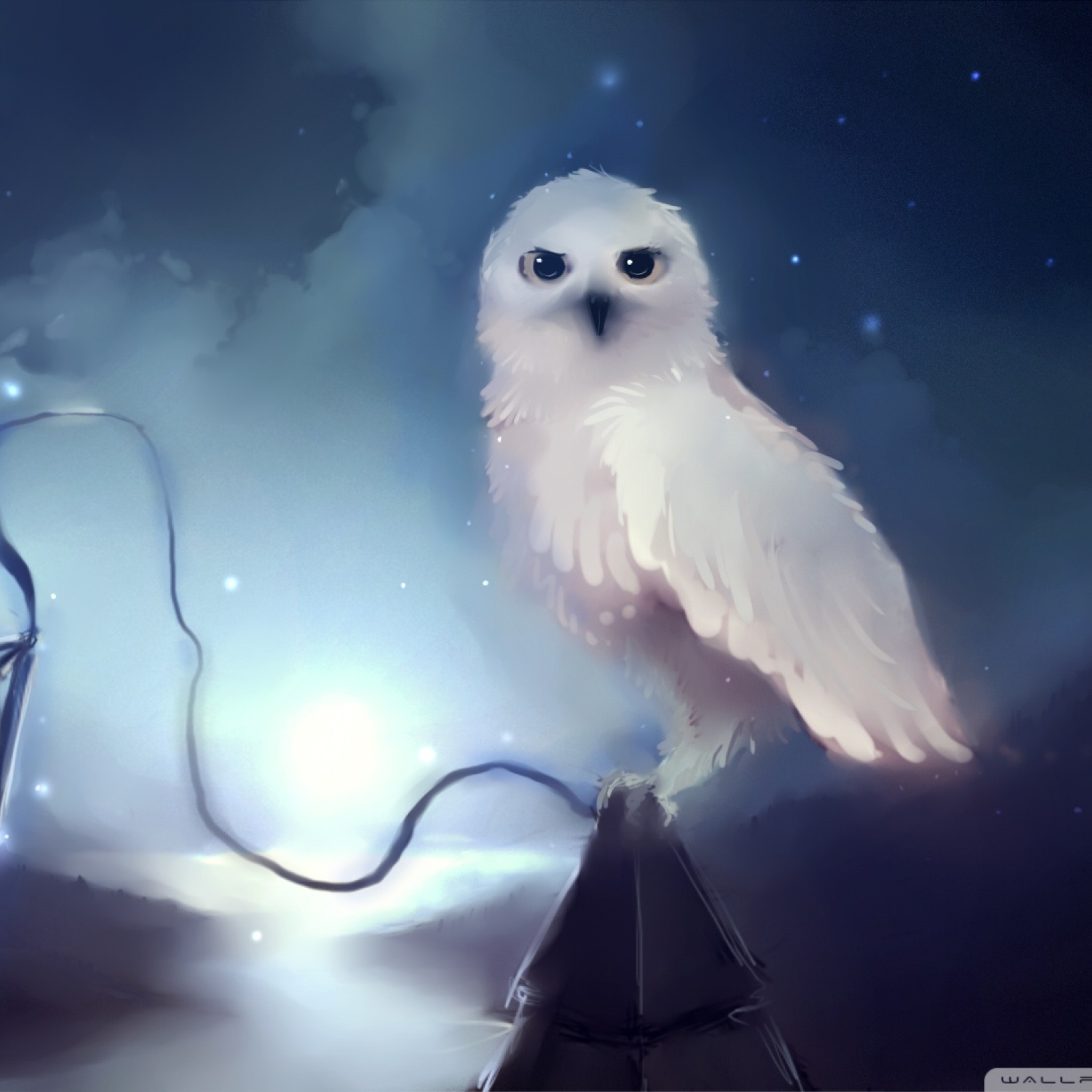 Das White Owl Painting Wallpaper 2048x2048