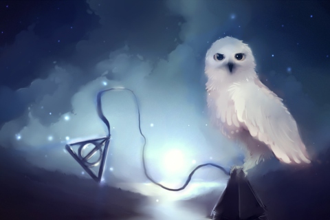 Sfondi White Owl Painting 480x320