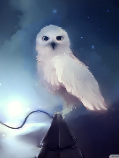 Das White Owl Painting Wallpaper 480x640