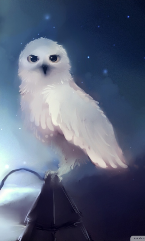 Das White Owl Painting Wallpaper 480x800