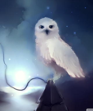 White Owl Painting - Obrázkek zdarma pro Nokia C1-00