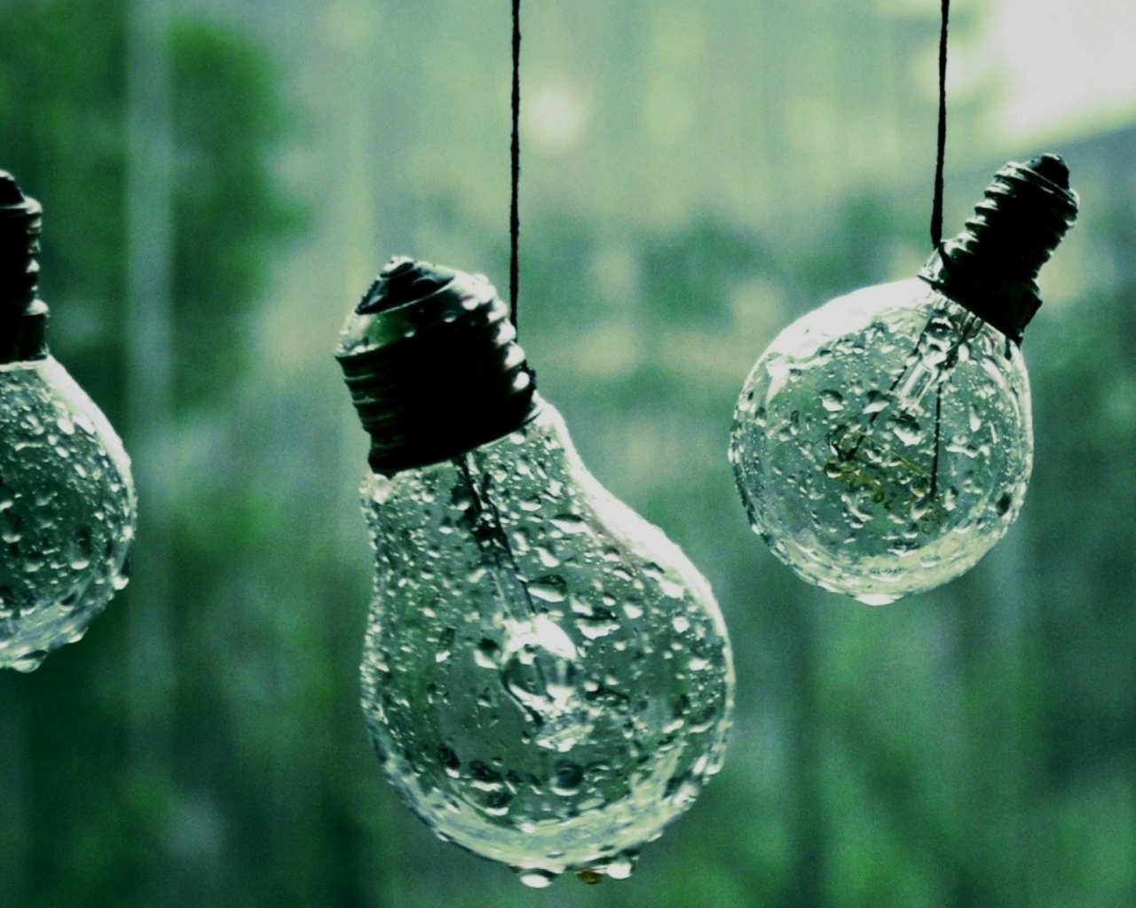 Das Light Bulbs And Water Drops Wallpaper 1280x1024
