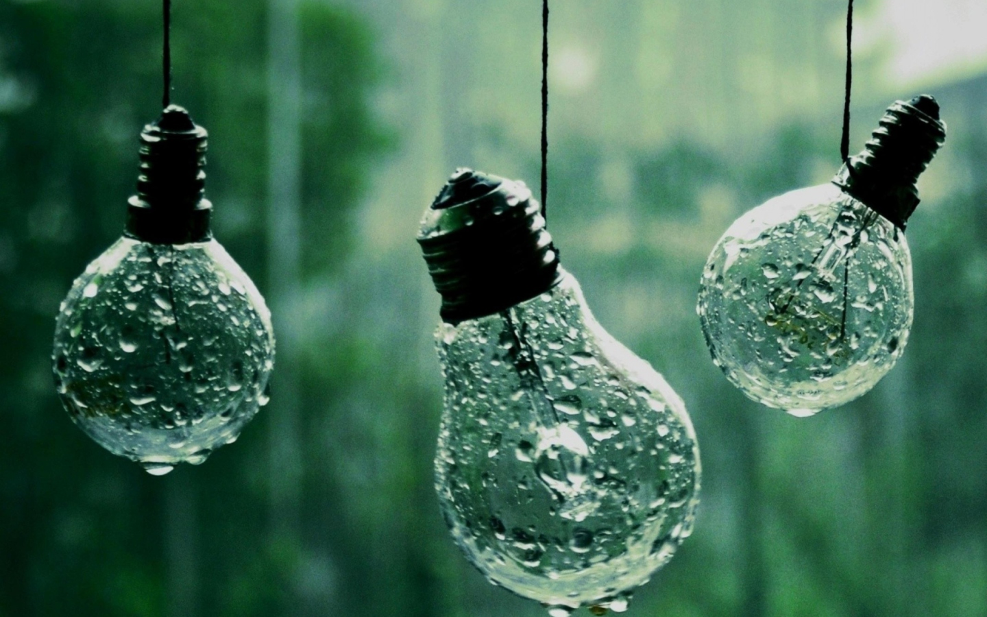 Обои Light Bulbs And Water Drops 1440x900