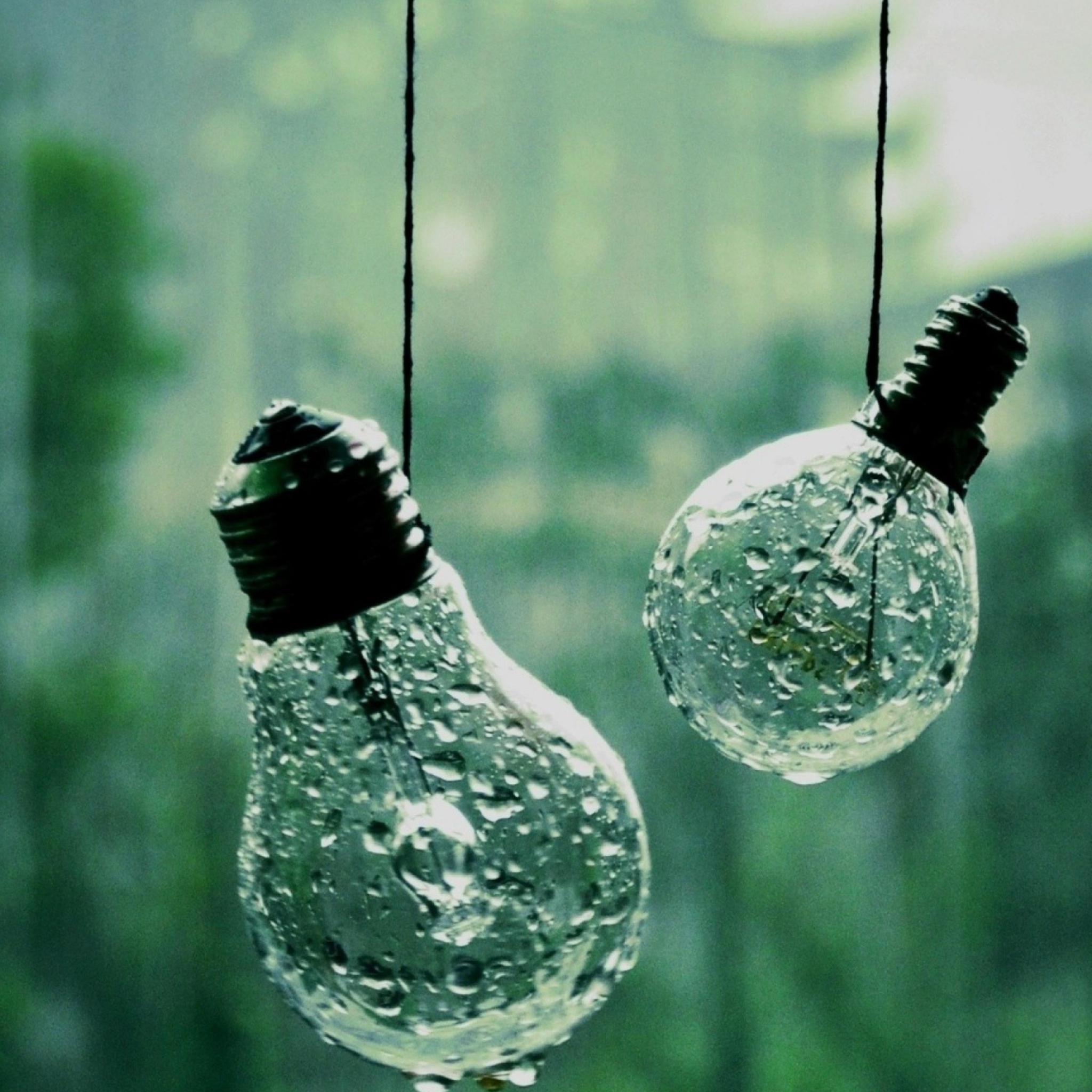 Обои Light Bulbs And Water Drops 2048x2048