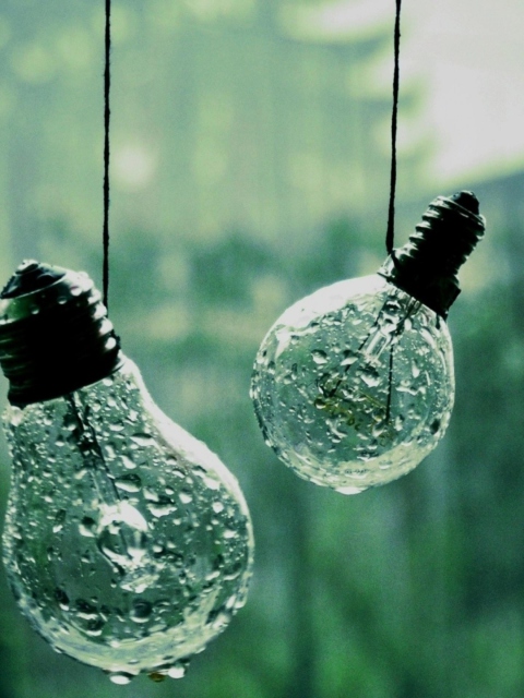 Das Light Bulbs And Water Drops Wallpaper 480x640