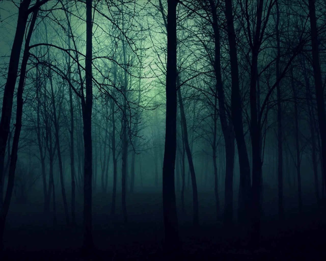 Dark Woods screenshot #1 1280x1024