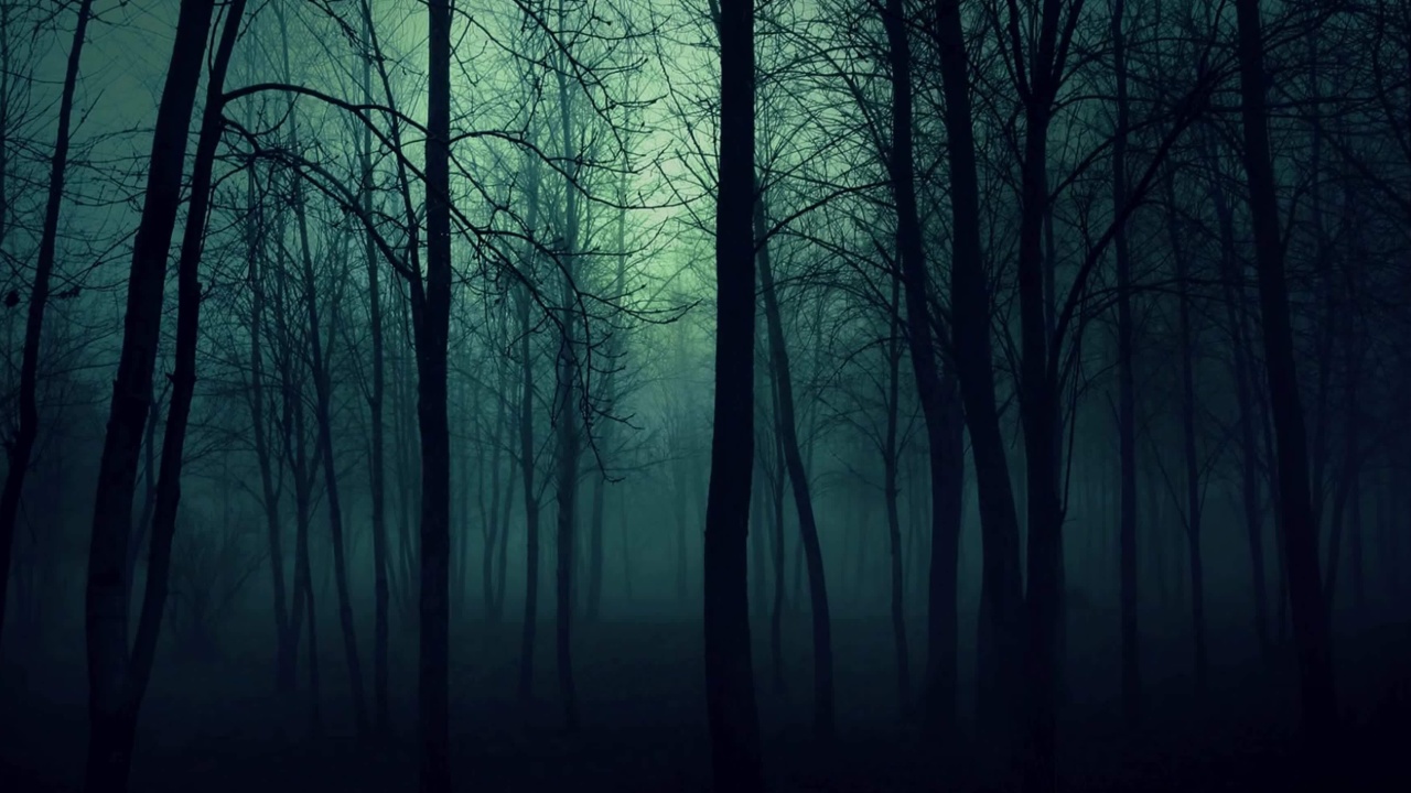 Dark Woods screenshot #1 1280x720