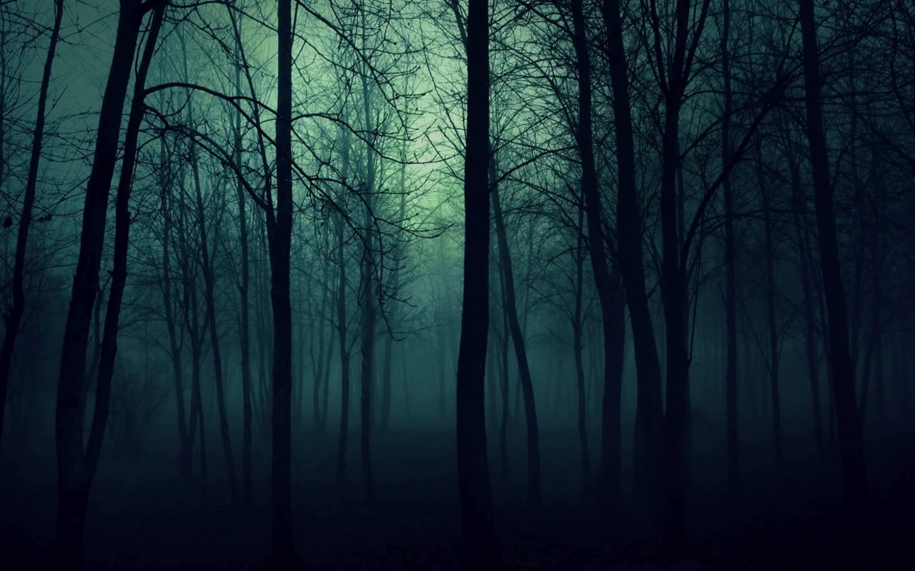 Dark Woods screenshot #1 1280x800