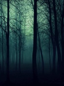 Dark Woods screenshot #1 132x176