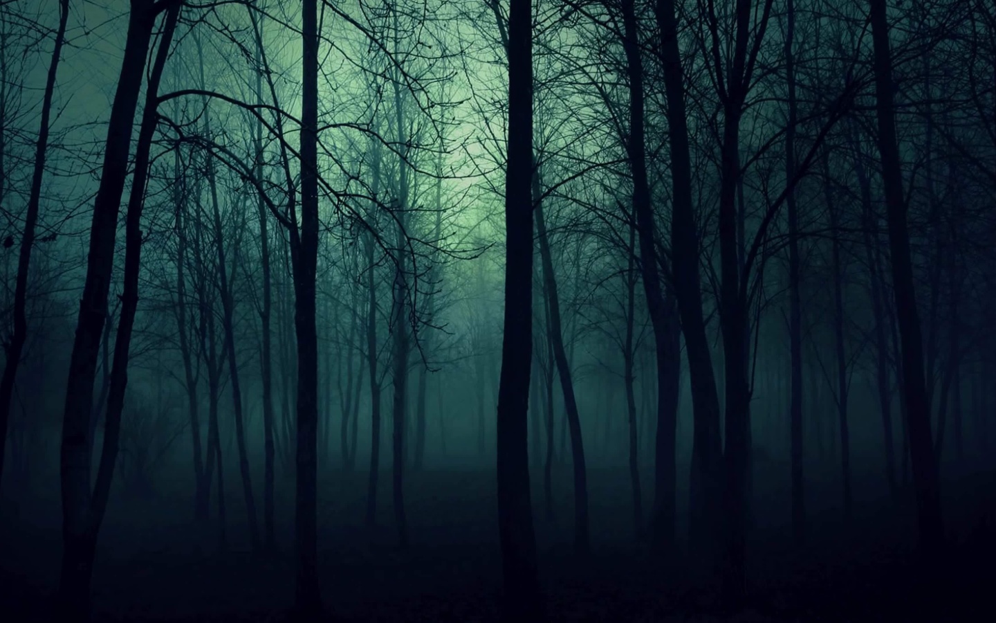 Dark Woods screenshot #1 1440x900