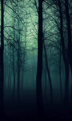 Dark Woods screenshot #1 240x400