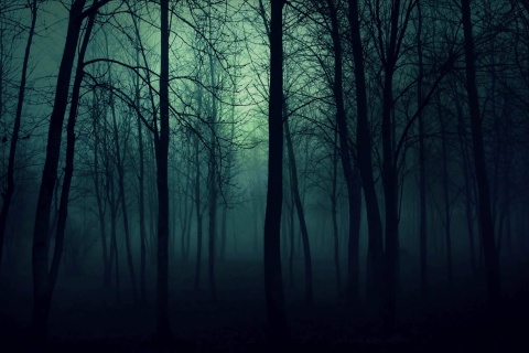 Dark Woods screenshot #1 480x320