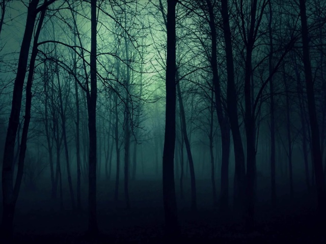Das Dark Woods Wallpaper 640x480