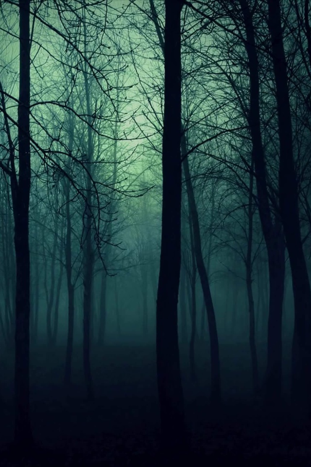 Dark Woods screenshot #1 640x960