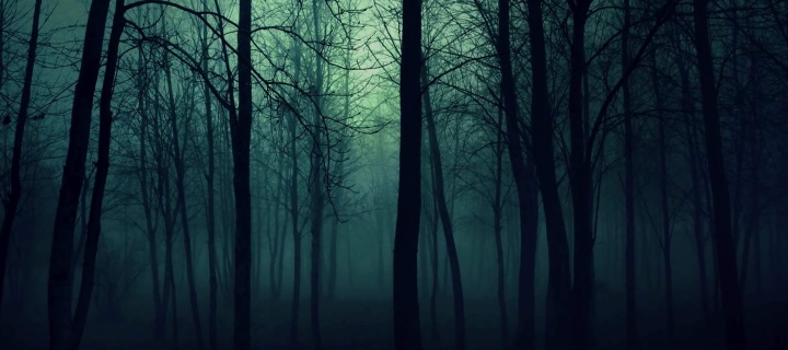 Dark Woods screenshot #1 720x320