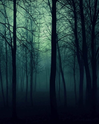 Dark Woods - Obrázkek zdarma pro Nokia X2