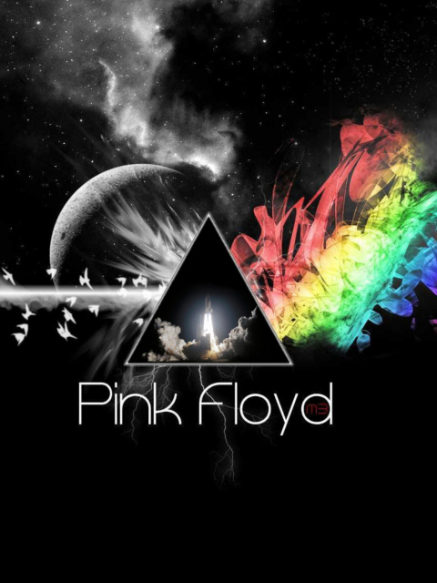 Fondo de pantalla Pink Floyd 480x640