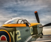 Обои North American P 51 Mustang Air Fighter in World War 2 176x144
