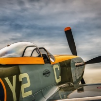 North American P 51 Mustang Air Fighter in World War 2 wallpaper 208x208
