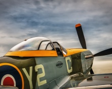 North American P 51 Mustang Air Fighter in World War 2 wallpaper 220x176