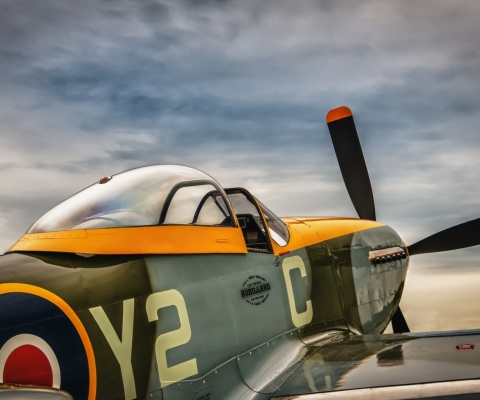 North American P 51 Mustang Air Fighter in World War 2 wallpaper 480x400