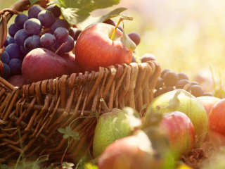 Sfondi Apples and Grapes 320x240