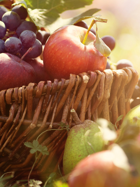 Apples and Grapes wallpaper 480x640