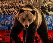 Russian Bear on Flag Background wallpaper 176x144