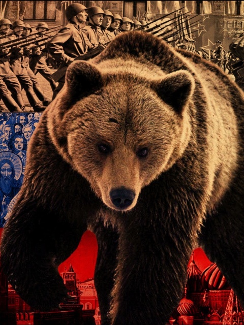 Fondo de pantalla Russian Bear on Flag Background 480x640