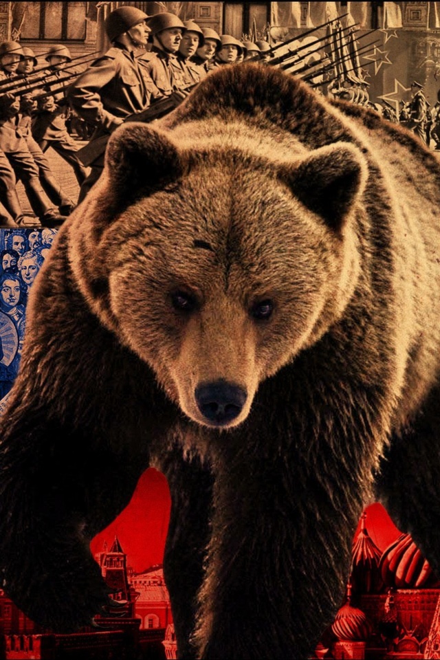 Обои Russian Bear on Flag Background 640x960