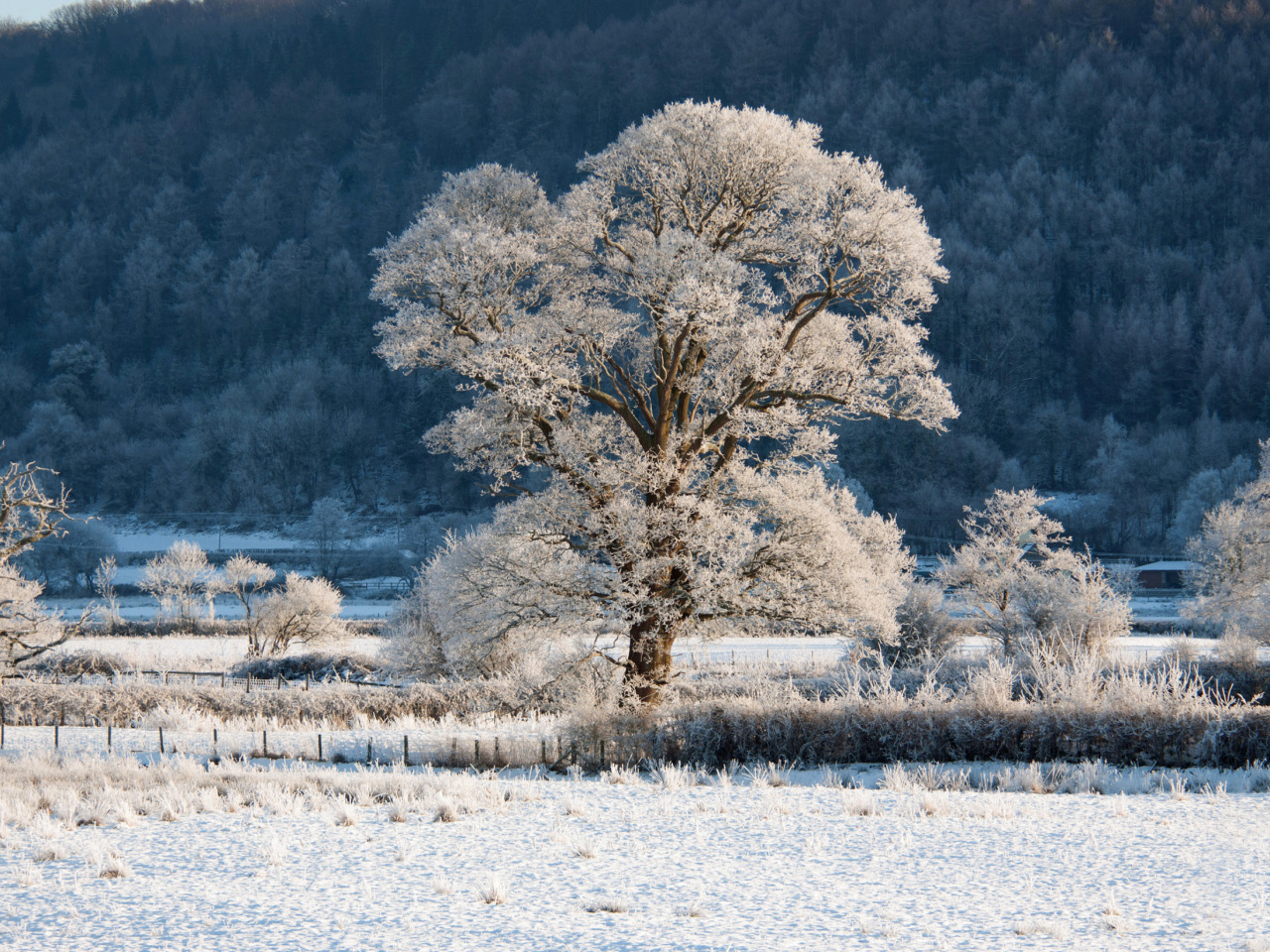 Hill in Snow wallpaper 1280x960