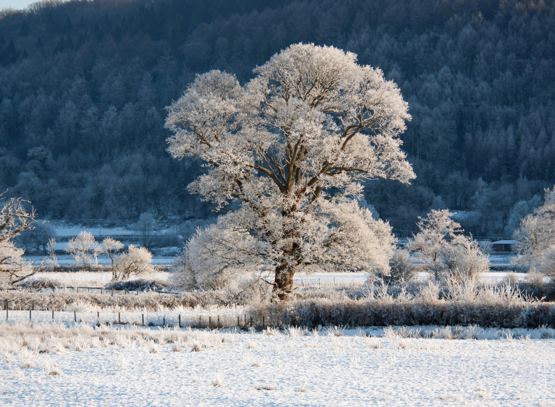 Das Hill in Snow Wallpaper 1920x1408