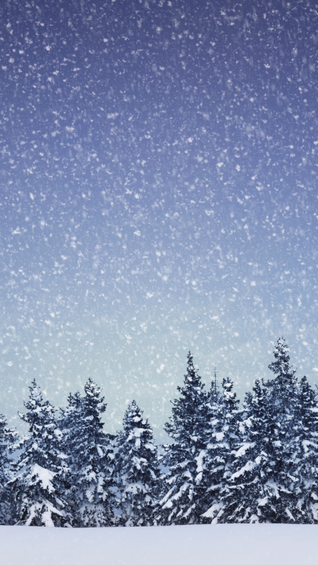 Sfondi Winter Forest 640x1136